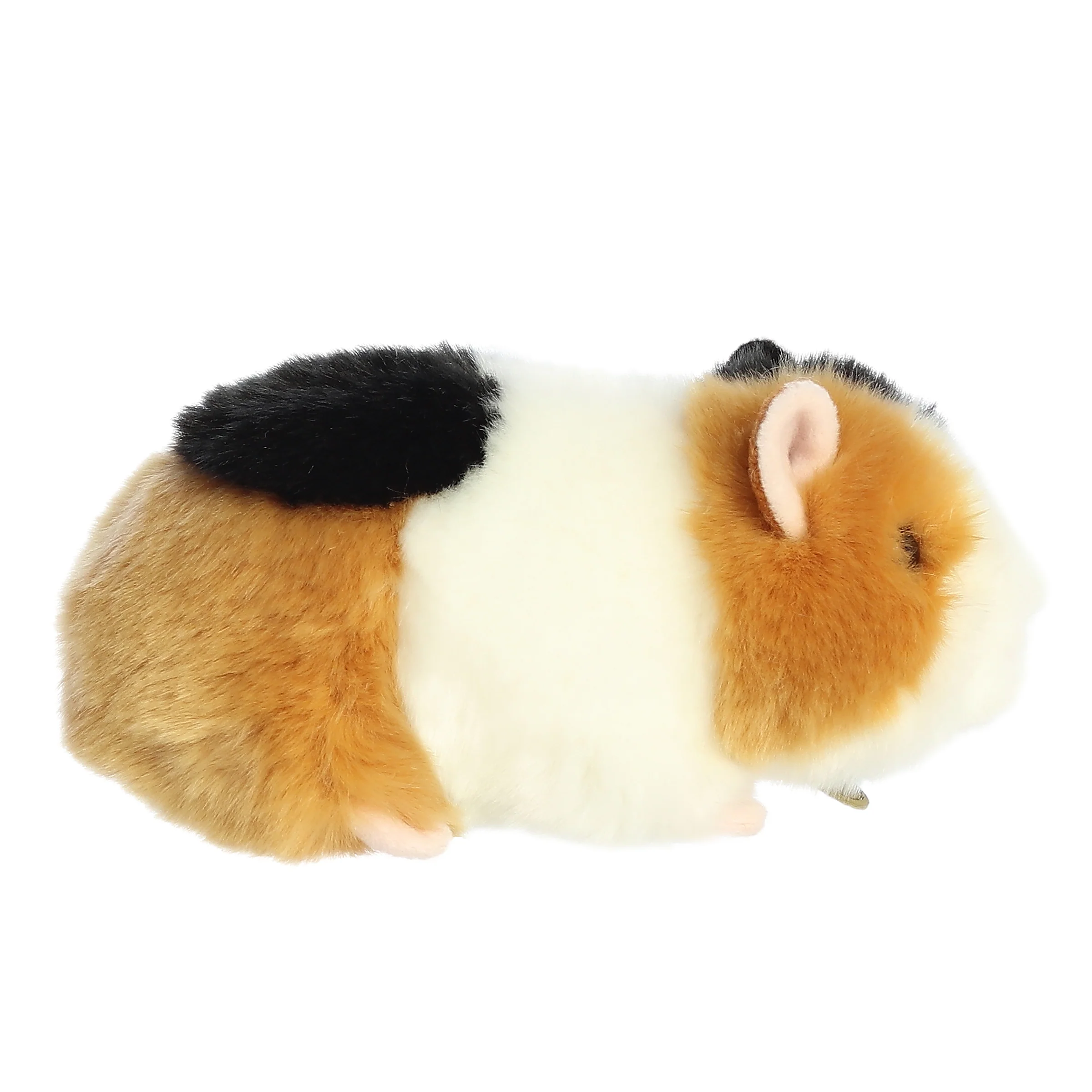 Aurora® - Miyoni® - 7.5" American Guinea Pig - Image 3