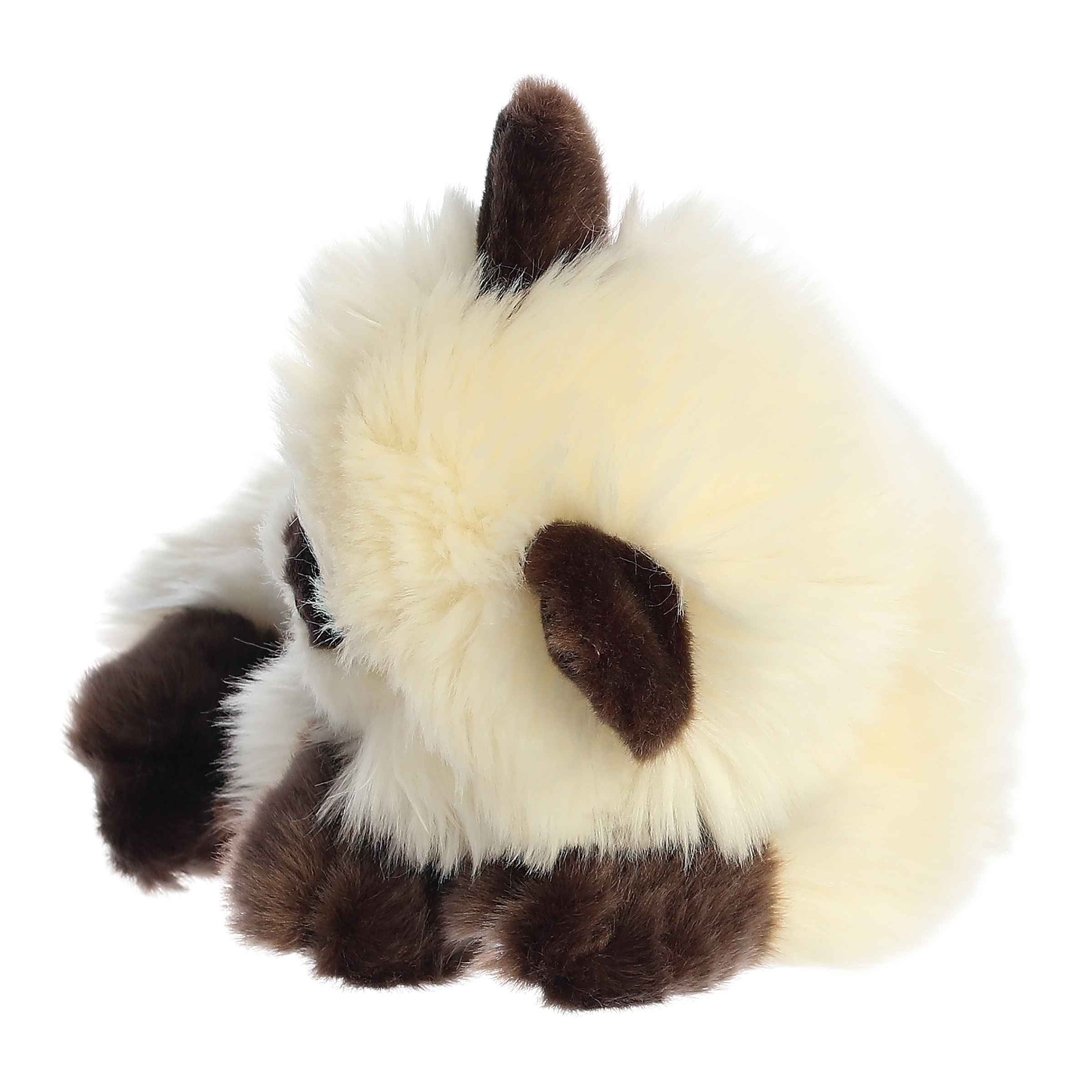 Aurora® - Miyoni® Tots - 10" Sleepy Himalayan Kitten - Image 2