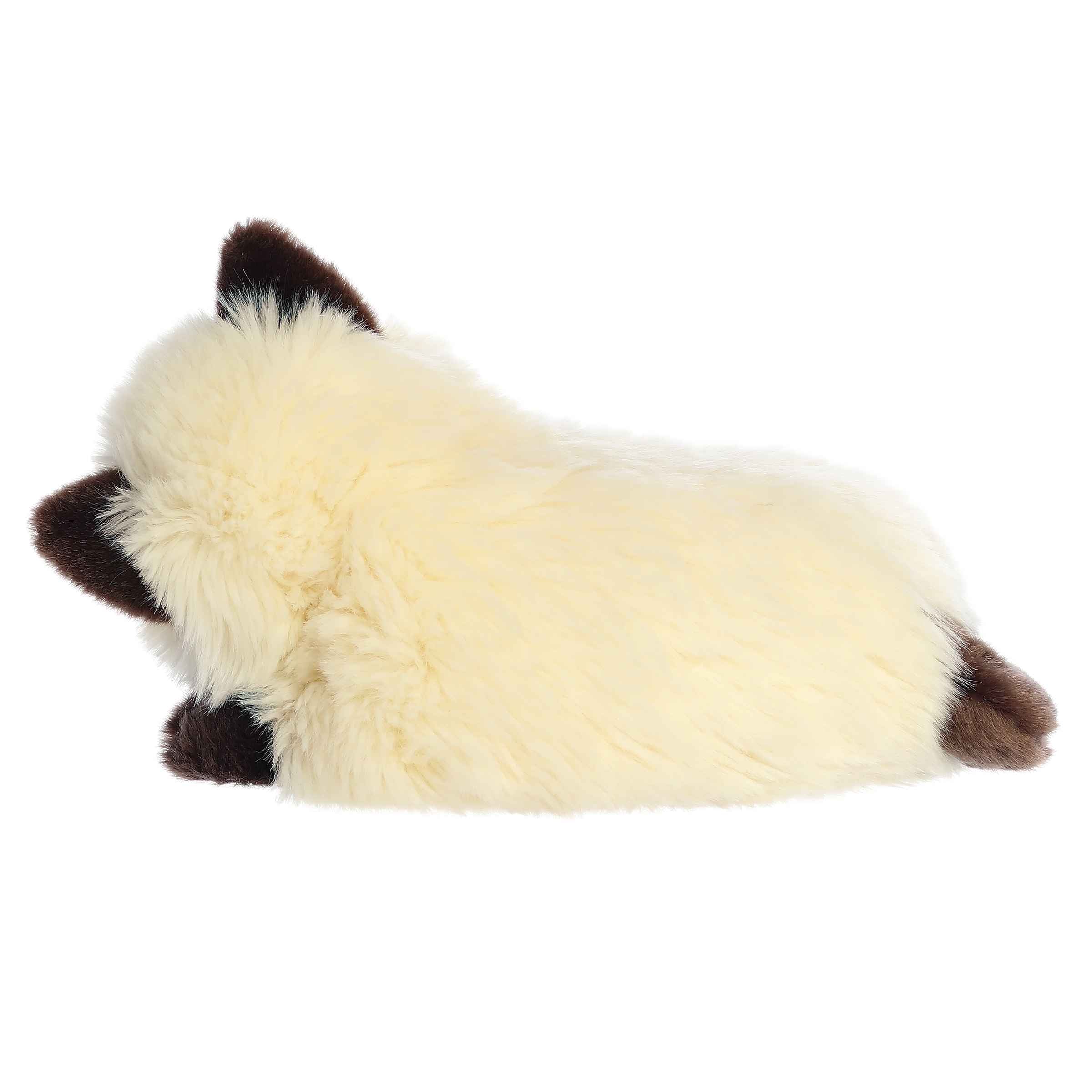Aurora® - Miyoni® Tots - 10" Sleepy Himalayan Kitten - Image 5