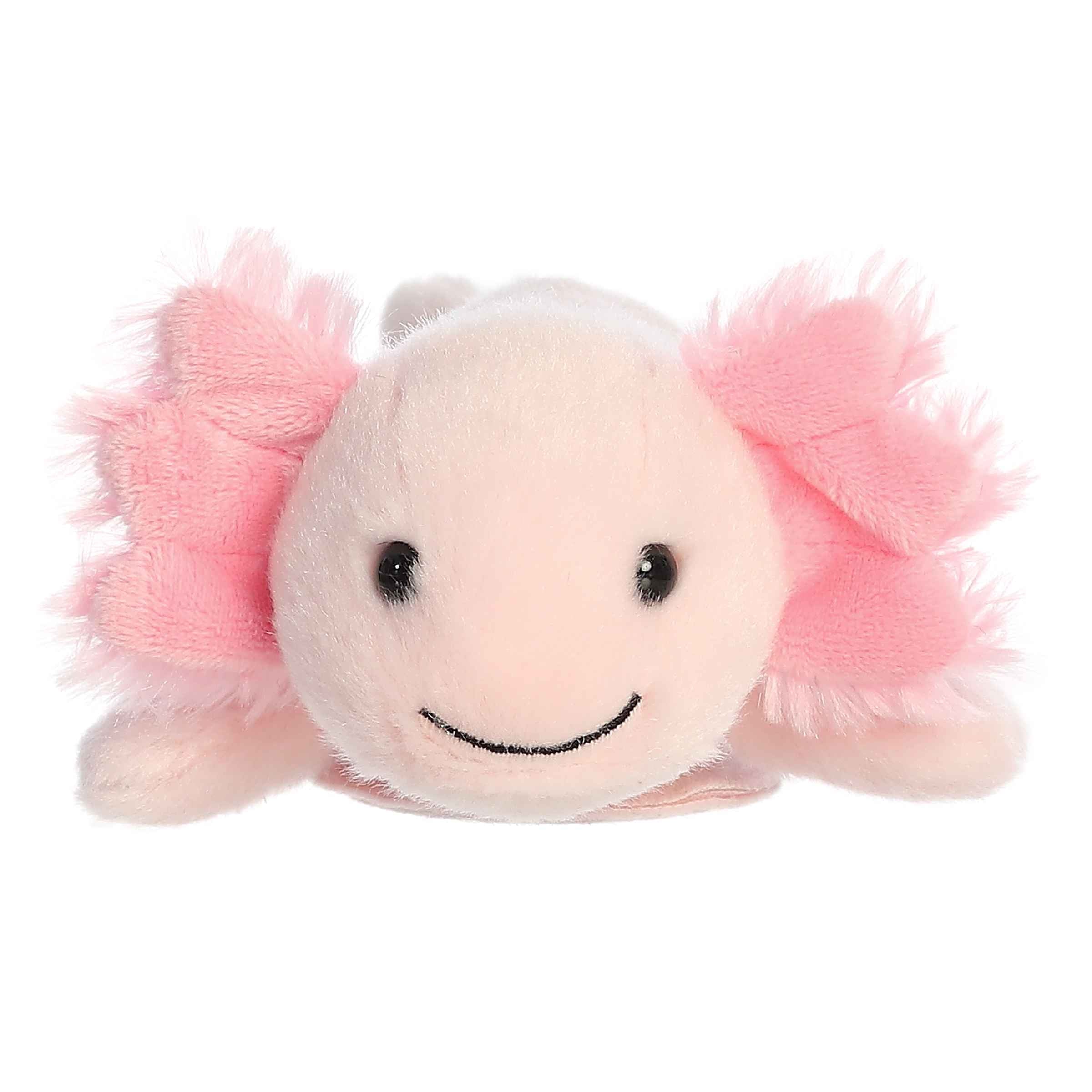 Aurora® - Shoulderkins™ - 6.5" Axel Axolotl™ - Image 2