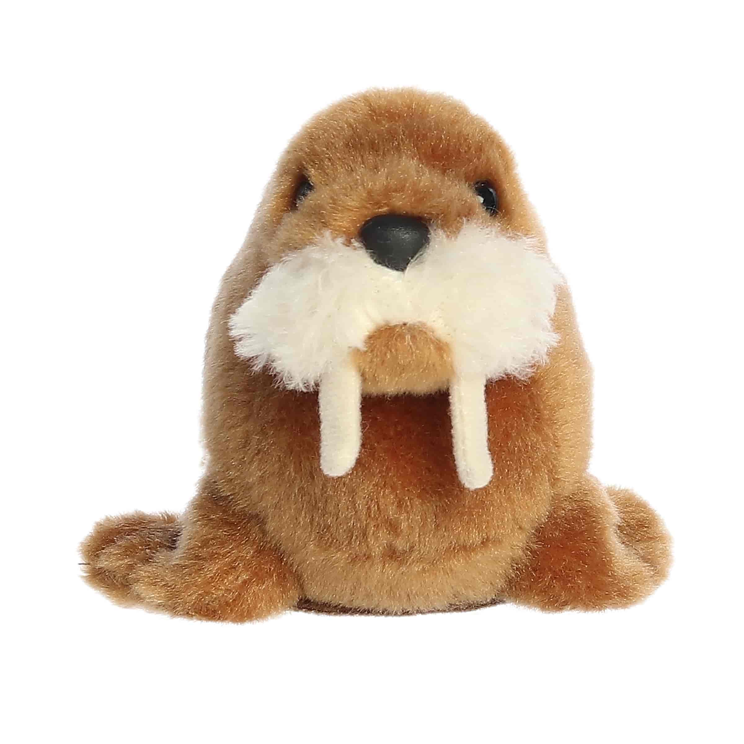 Aurora® - Shoulderkins™ - 6.5" Waffle Walrus™ - Image 2