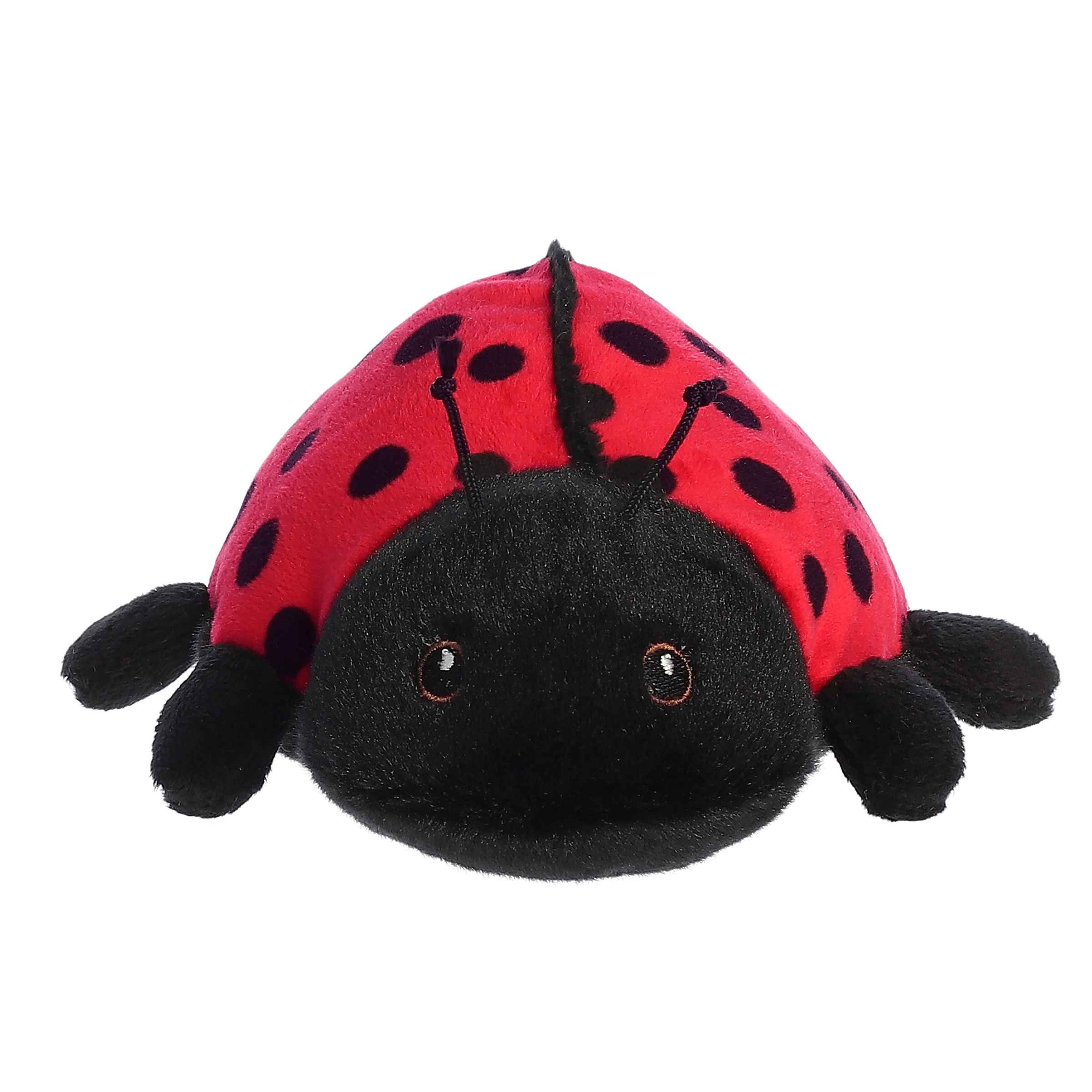 Aurora® - Eco Nation™ - Eco Softies™ - 8" Ladybug - Image 2