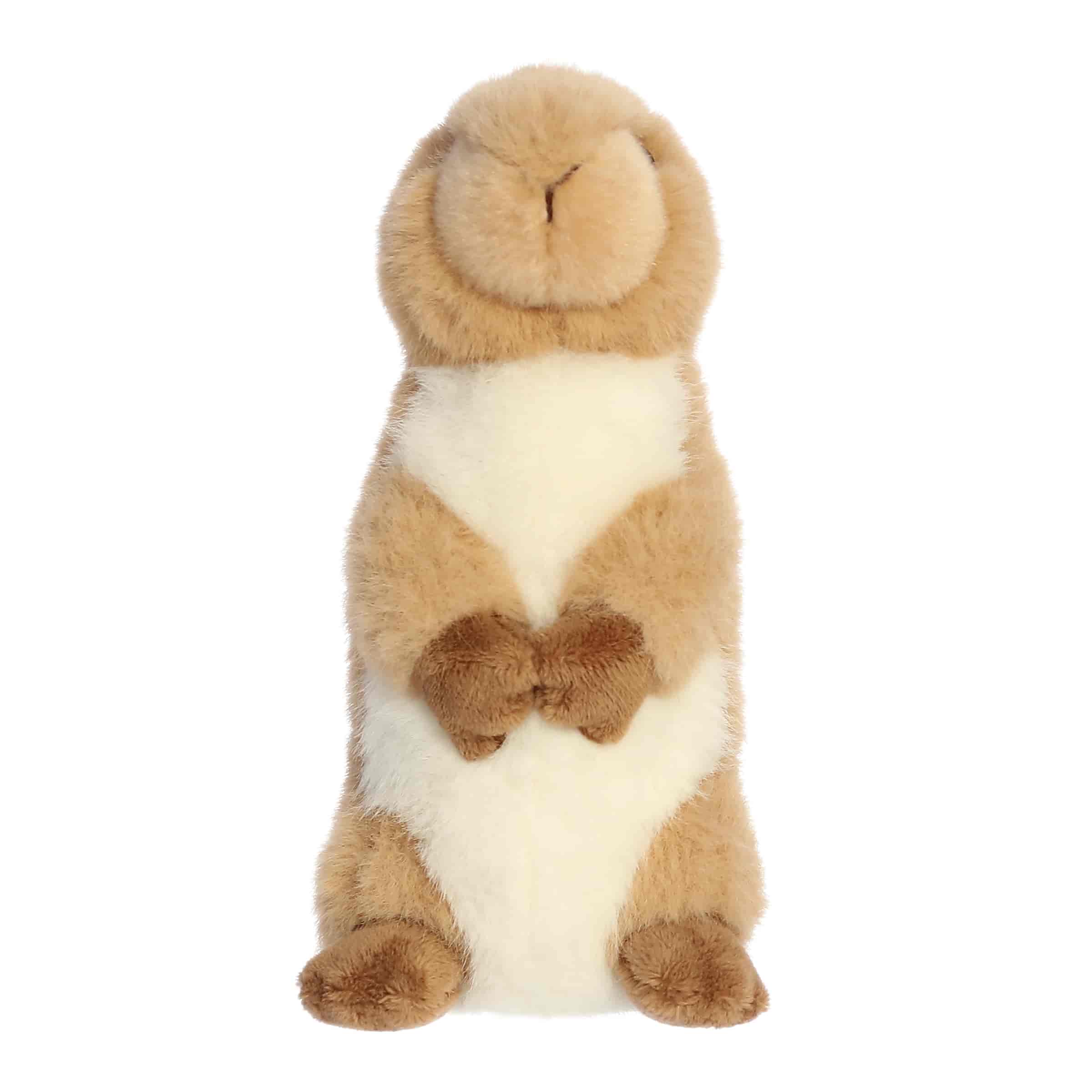 Aurora® - Mini Flopsie™ - 8" Clover Prairie Dog™ - Image 2