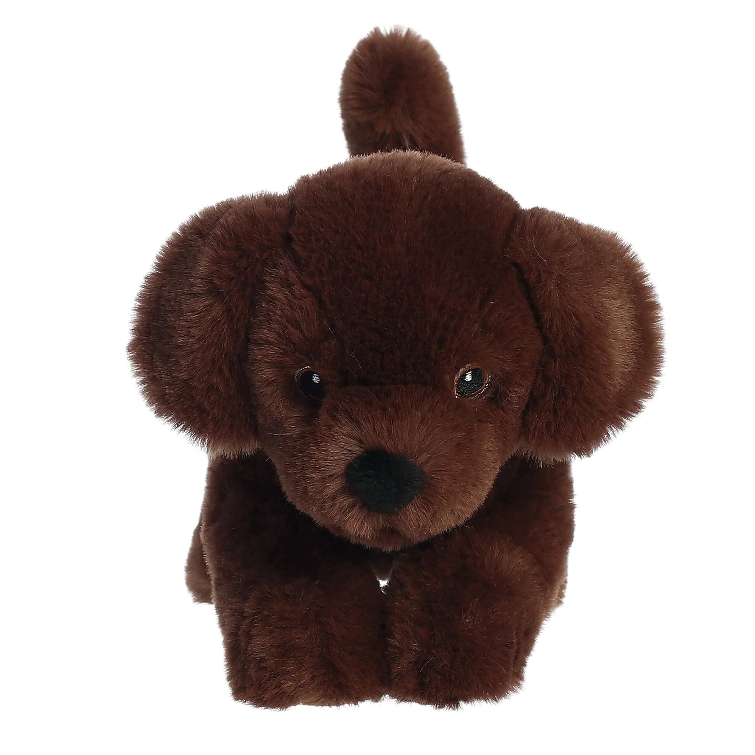 Aurora® - Eco Nation™ - 8.5" Chocolate Lab - Image 2