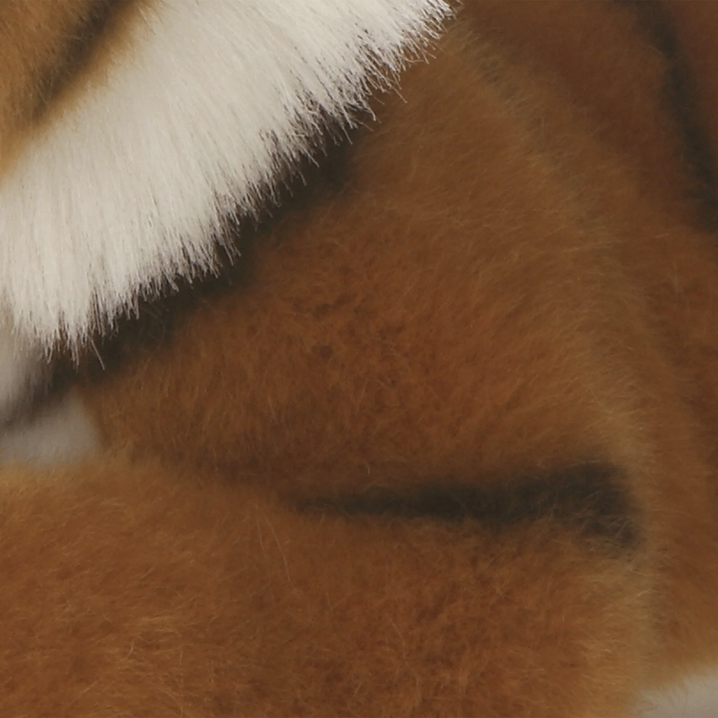 Aurora® - Miyoni® - Bengal Tiger - Image 4