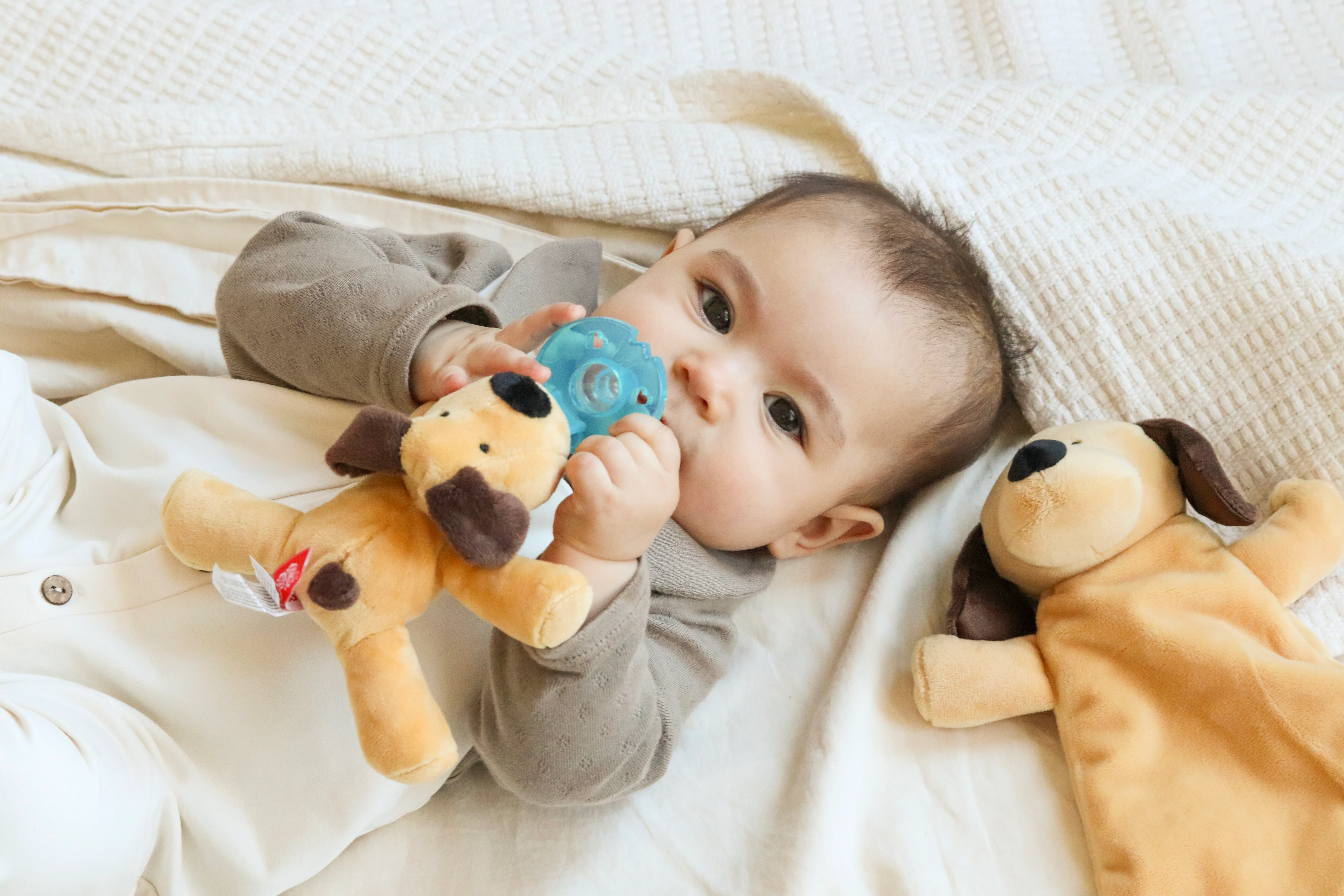 WubbaNub® - Detachable Brown Dog - Image 7